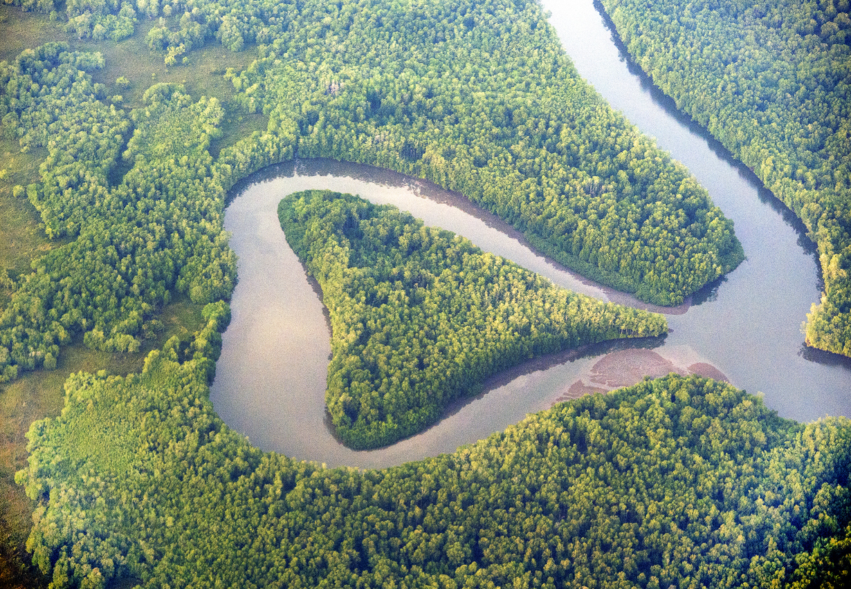 Formation en forme de cœur du lac Oxbow en cours, Parc national du Corcovado, Costa Rica  © iStock / pilesasmiles
