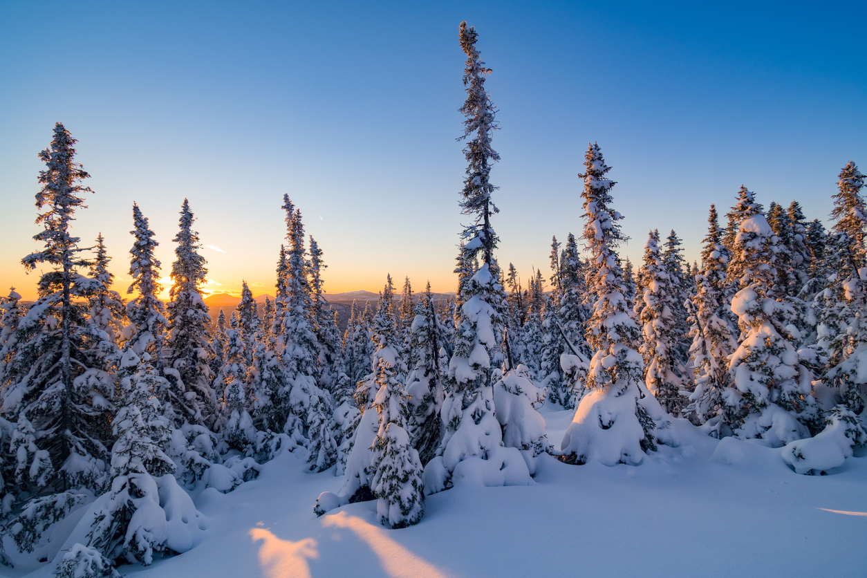 Petits bonheurs hivernaux en Gaspésie