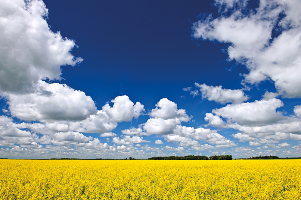 Présentation du Manitoba