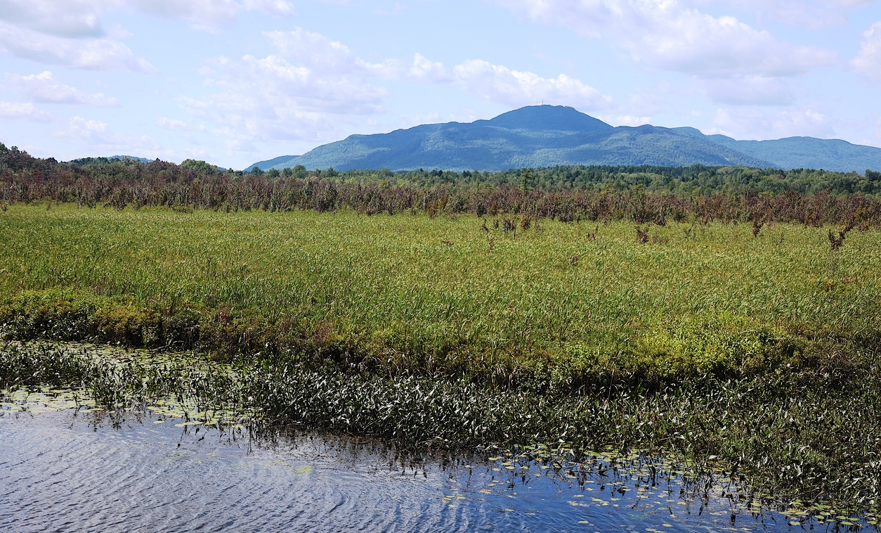 Le Mont Orford vu depuis la Rivière aux Cerises.  © iStock / artiste9999