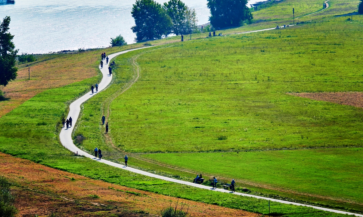 La piste cyclable de l’Elbe à Dresde en Allemagne.  ©  iStock / clu