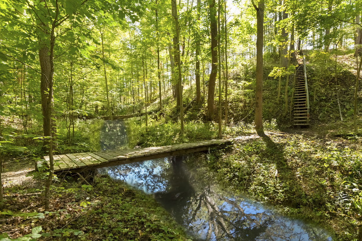 Le Bruce Trail, plus vieux sentier balisé du Canada, parcourt 900 km en Ontario. © iStock / Peter Mintz