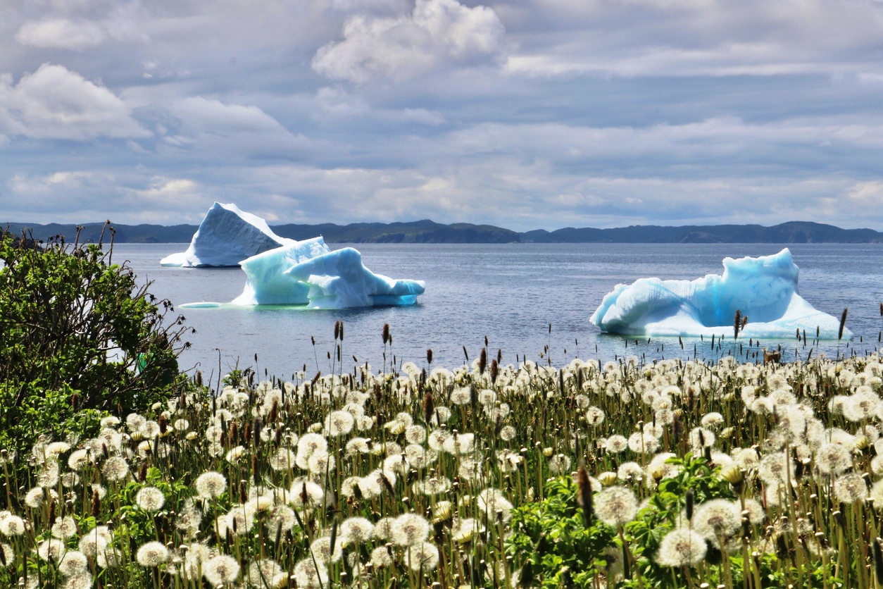 Des isceberg dérivent au large de la province canadienne de Terre-Neuve .  © Istock / EyeEm Mobile GmbH