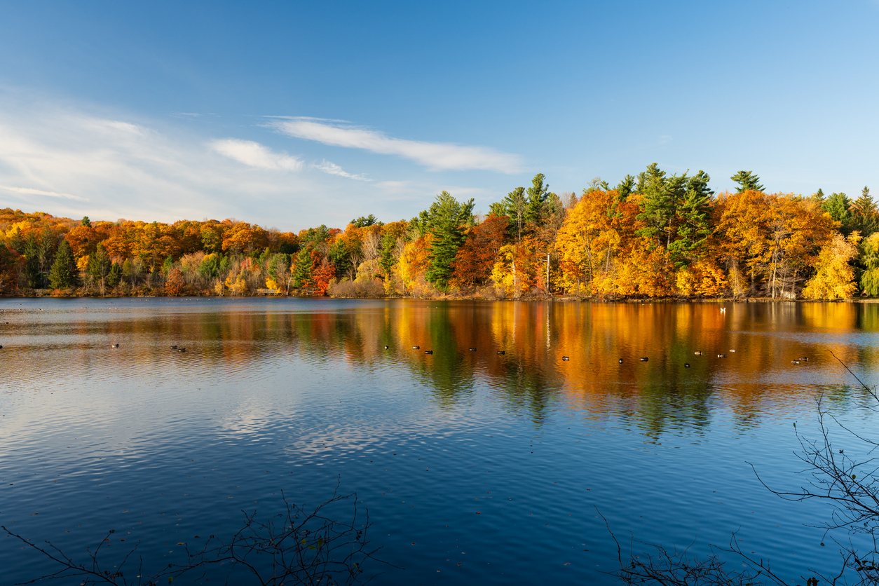 Lac du Moulin. Parc national du Mont-Saint-Bruno, Québec. © istock / Cheng Feng Chiang
