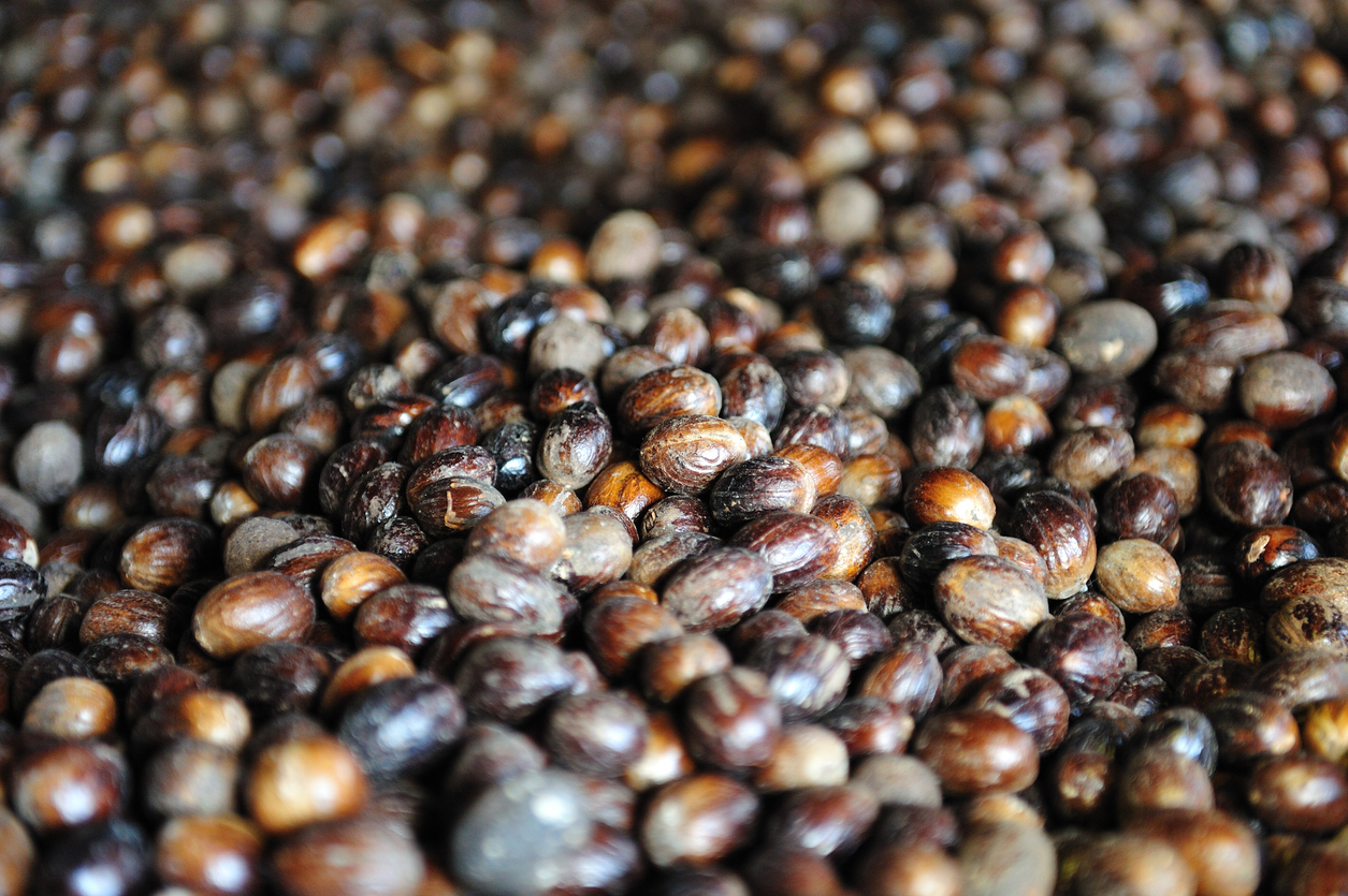 L’île aux épices