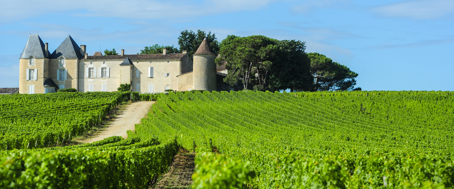 Les vins du Bordelais