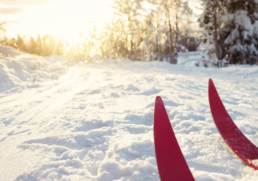 Les racines du ski de fond au Québec