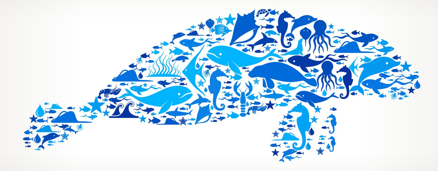 À la rescousse des animaux marins à Disney