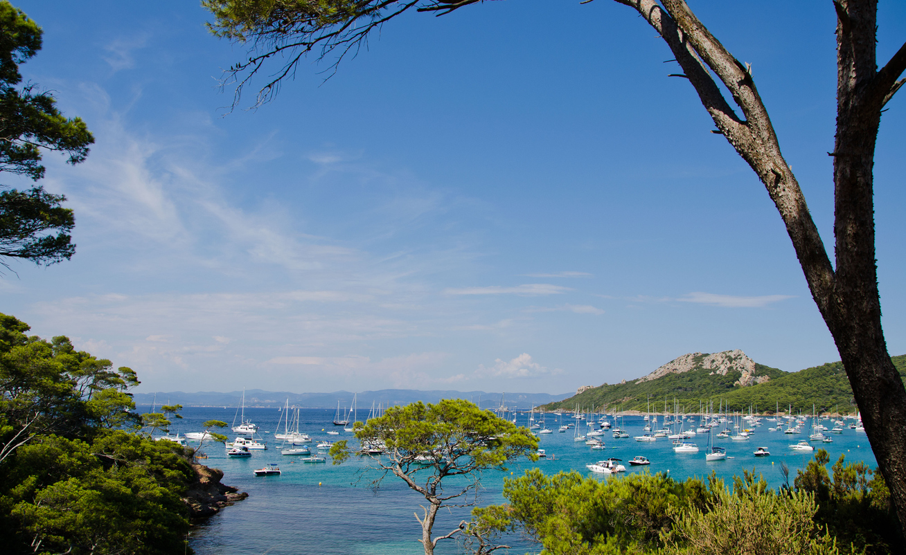 La Côte d’Azur fait son cinéma