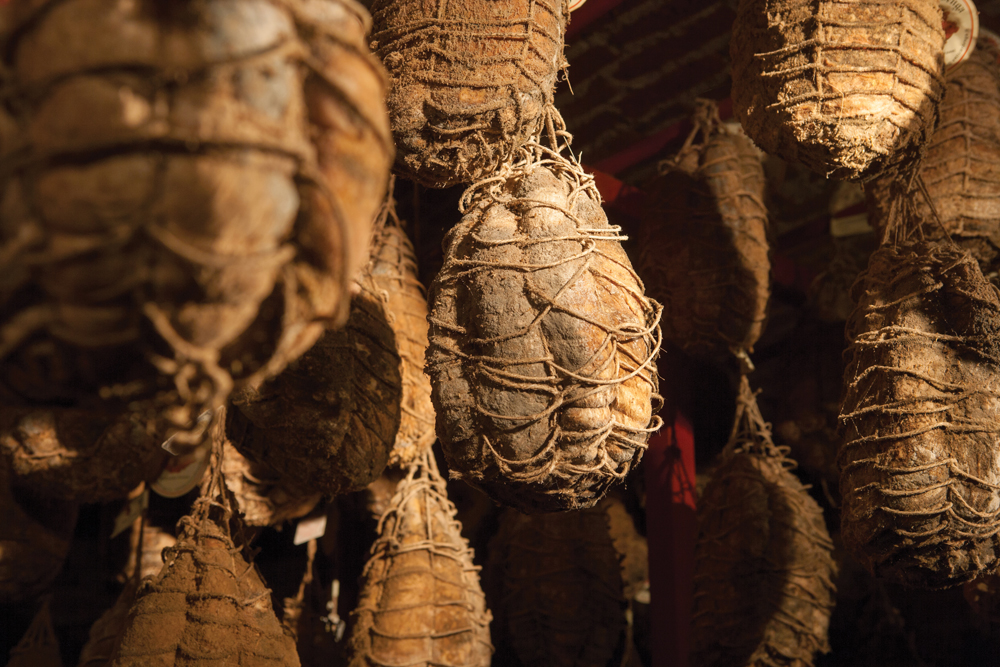 La Plaine du Pô et le culatello di Zibello