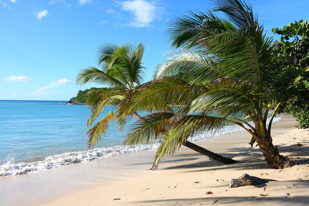 Les excursions lors d