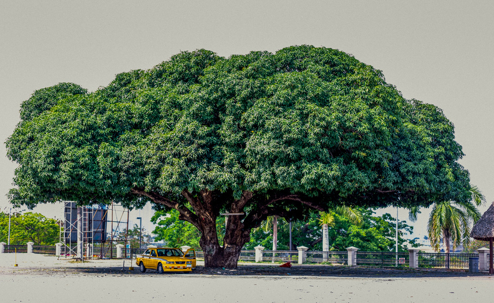 Déplacement à Panama City
