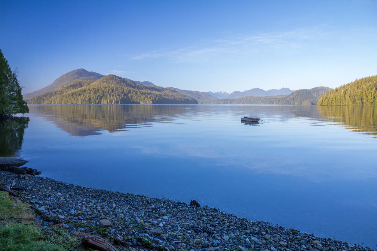 Préserver la forêt humide du Clayoquot Sound