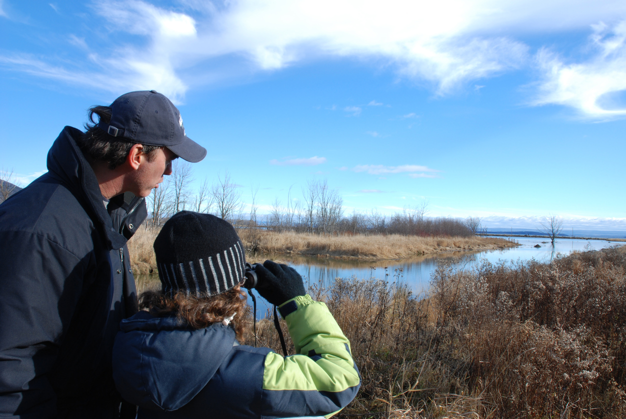 Un site d’observation des oiseaux dans un décor pittoresque