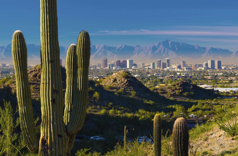 Histoire de Phoenix en bref