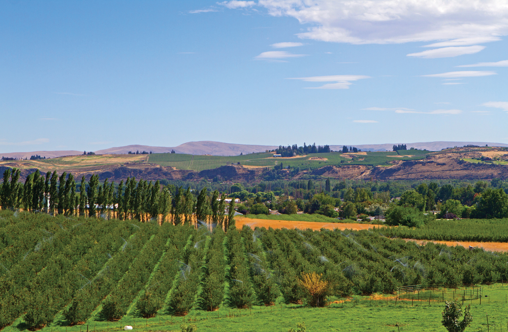 La faune ailée de Yakima - au Nord-ouest des USA