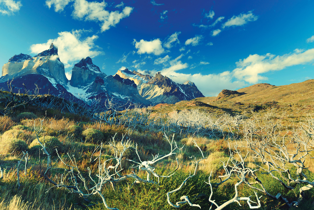 9 jours d’extase dans l’incomparable Chili