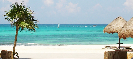 La Riviera Maya, un paradis sur terre!
