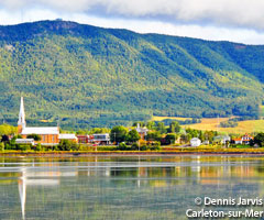 Gasp&eacute;sie