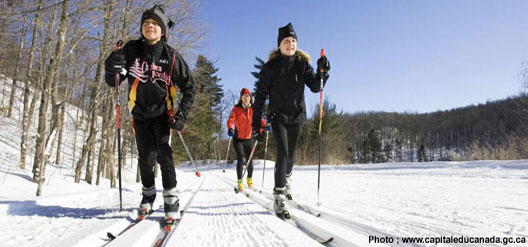 Semaine de vacances dans le parc de la Gatineau et ses environs
