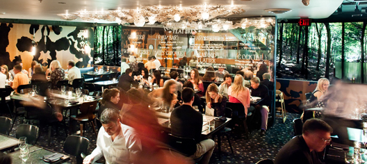 Une demi-journée sur Queen Street West, la rue la plus <i>funky</i> de Toronto 