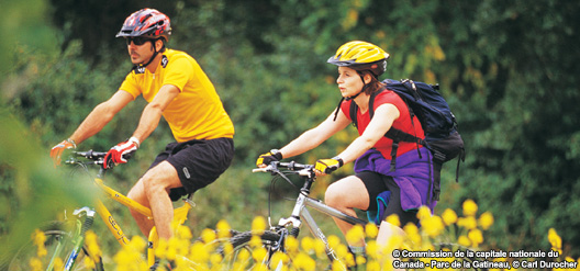 À vélo dans le parc de la Gatineau