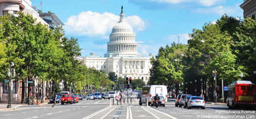 Washington en 5 expériences uniques