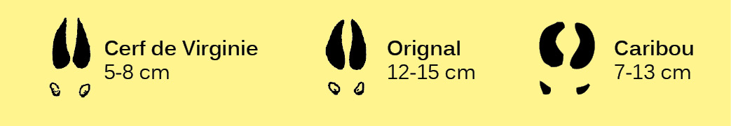 Empreintes-2-doigts.ai