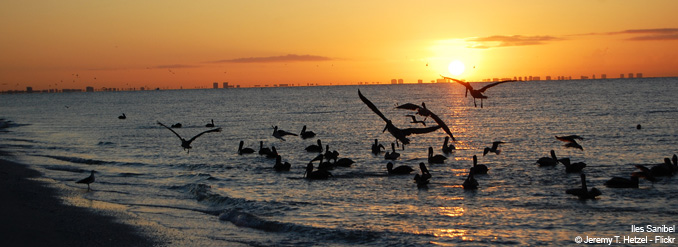 Le grand tour de la Floride