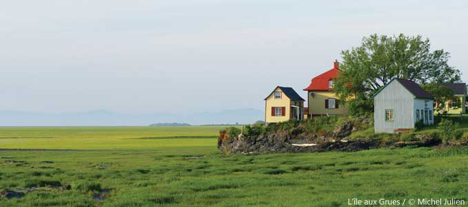 L'&icirc;le aux Grues