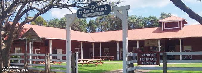 5 exp&eacute;riences romantiques &agrave; vivre &agrave; Hawaii