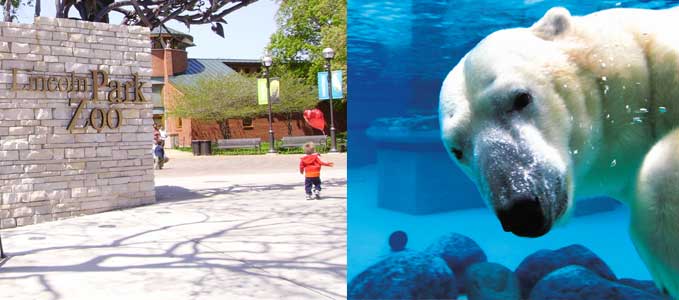 Lincoln Park Zoo