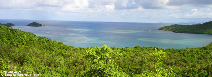 5 plages de r&ecirc;ve en Martinique 