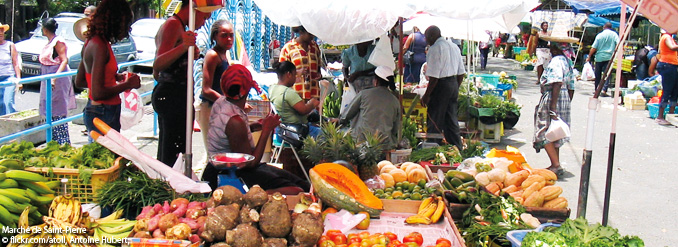 Explorez la Martinique