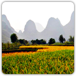 Dialogues avec de grands voyageurs