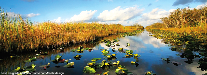 Escale &agrave; Miami avec Alain Legault