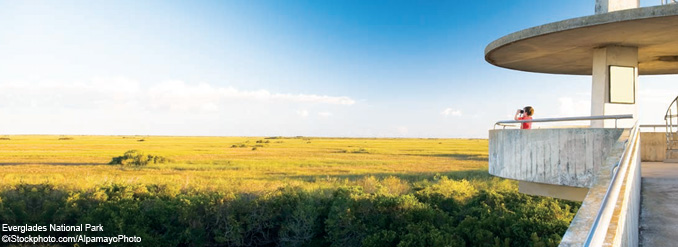 LES INCONTOURNABLES DE MIAMI 