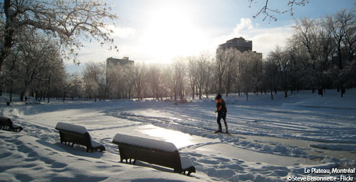 Montr&eacute;al en 4 saisons