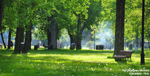 Montr&eacute;al en 4 saisons