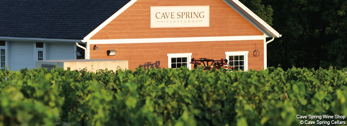 Escale &agrave; Niagara Falls et la Route des vins : les incontournables de l&rsquo;auteure, Annie Gilbert