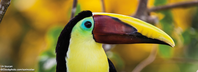 Le Nicaragua : terrain de jeu pour les amateurs de plein air