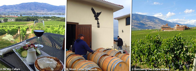 Vir&eacute;e dans les vignobles de la vall&eacute;e de l'Okanagan