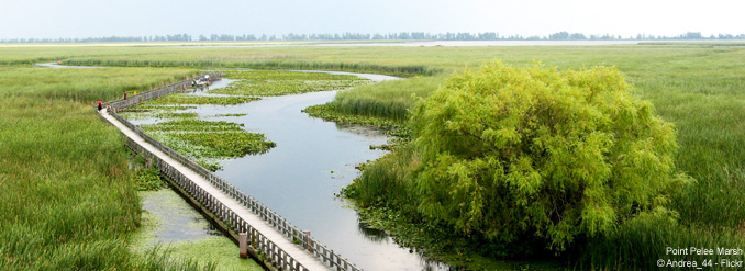 5 sites naturels &eacute;blouissants en Ontario