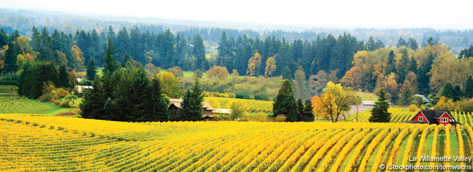 S&eacute;jour dans l&rsquo;&Eacute;tat de l&rsquo;Oregon : 5 incontournables