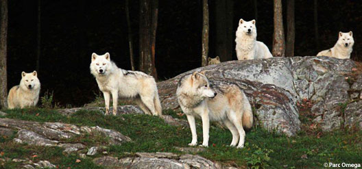 D&eacute;couvrir l'Outaouais