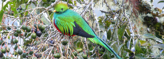 Panam&aacute; : explorez une biodiversit&eacute; exceptionnelle