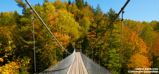 r&eacute;gion de Qu&eacute;bec