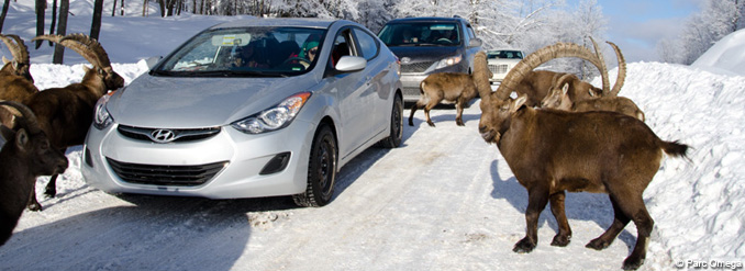 Au Qu&eacute;bec. Et si on allait faire un tour dehors pendant la rel&acirc;che?