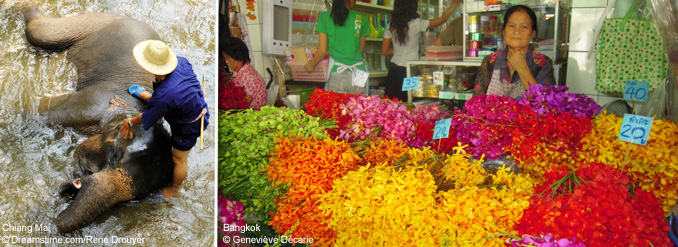 &Agrave; la d&eacute;couverte des splendeurs de la Tha&iuml;lande