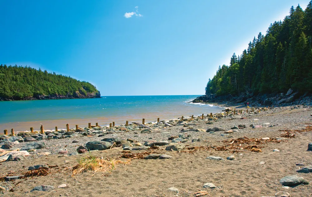 Point Wolfe au parc national Fundy | © www.flickr.com/aschaf/7617727178/CC BY 2.0 